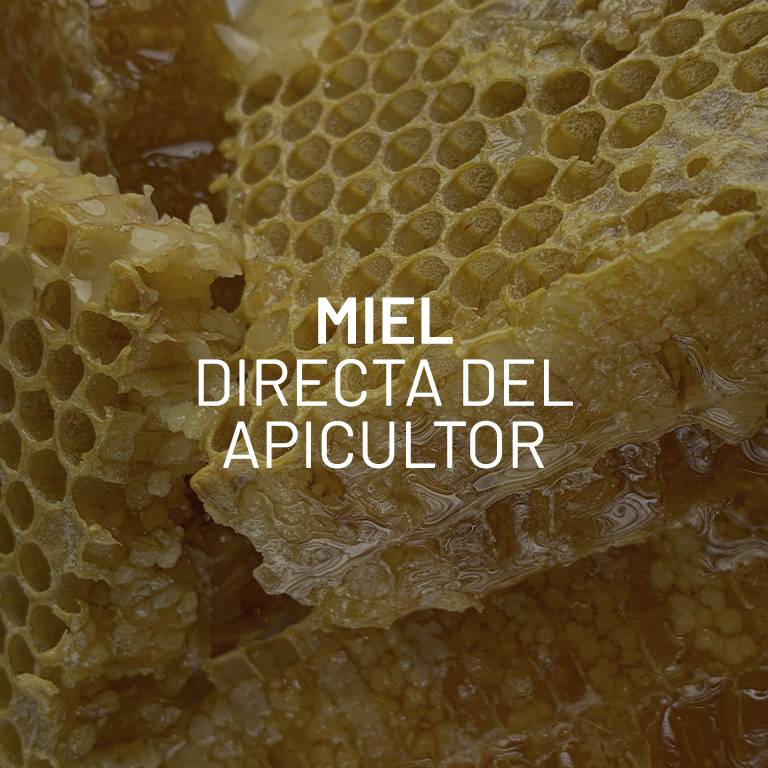Miel, directa del apicultor