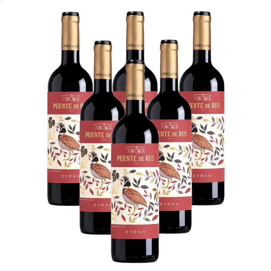 Bodegas Puente de Rus - Puente de Rus Syrah vino tinto D.O.P. La Mancha 75cl, 6uds