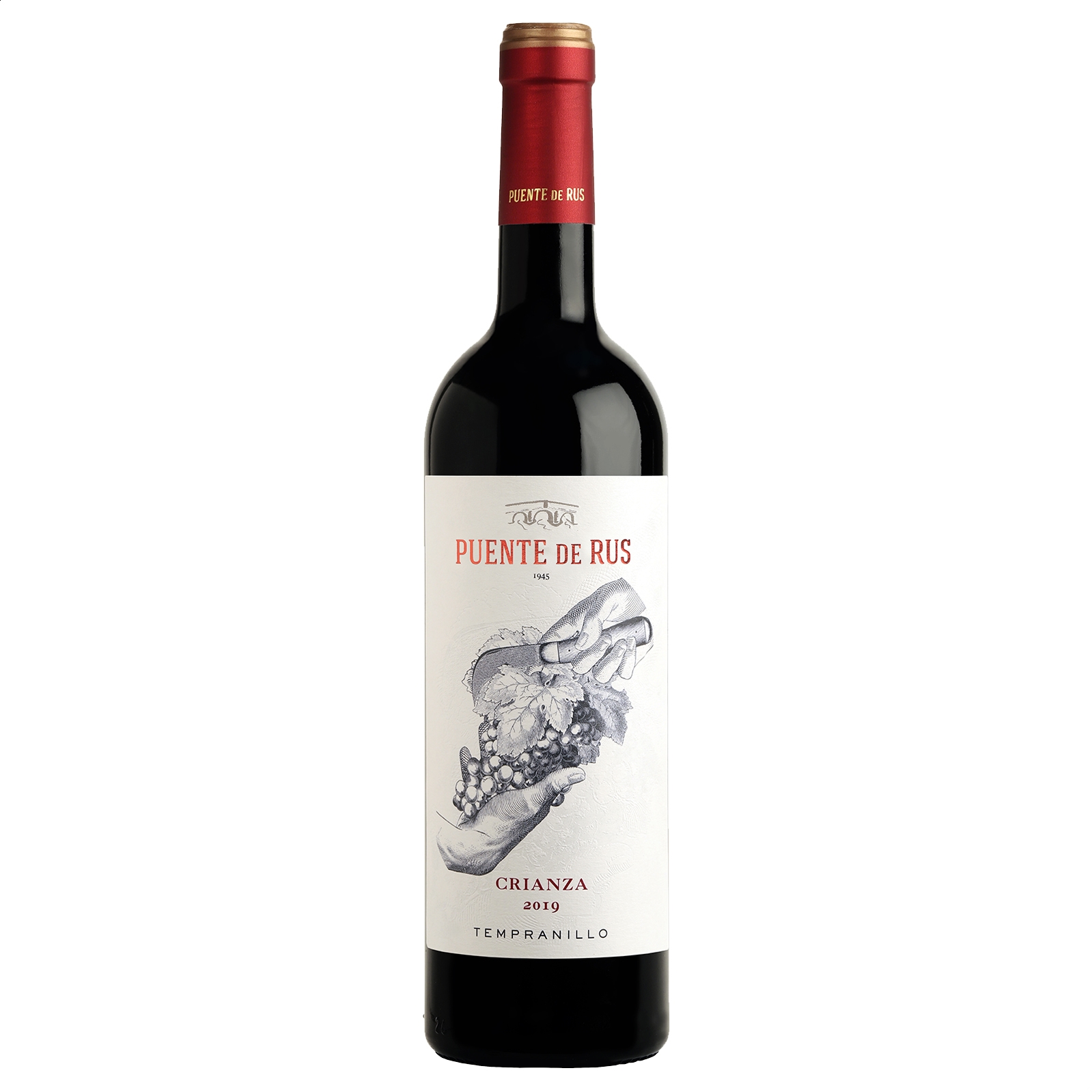 Bodegas Puente de Rus - Puente de Rus Crianza vino tinto D.O.P. La Mancha 75cl, 6uds