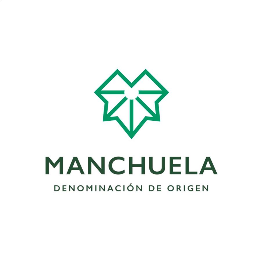 Viaril - Vino Blanco Macabeo Fermentado en Barrica D.O.P. Manchuela, 75cl 6uds
