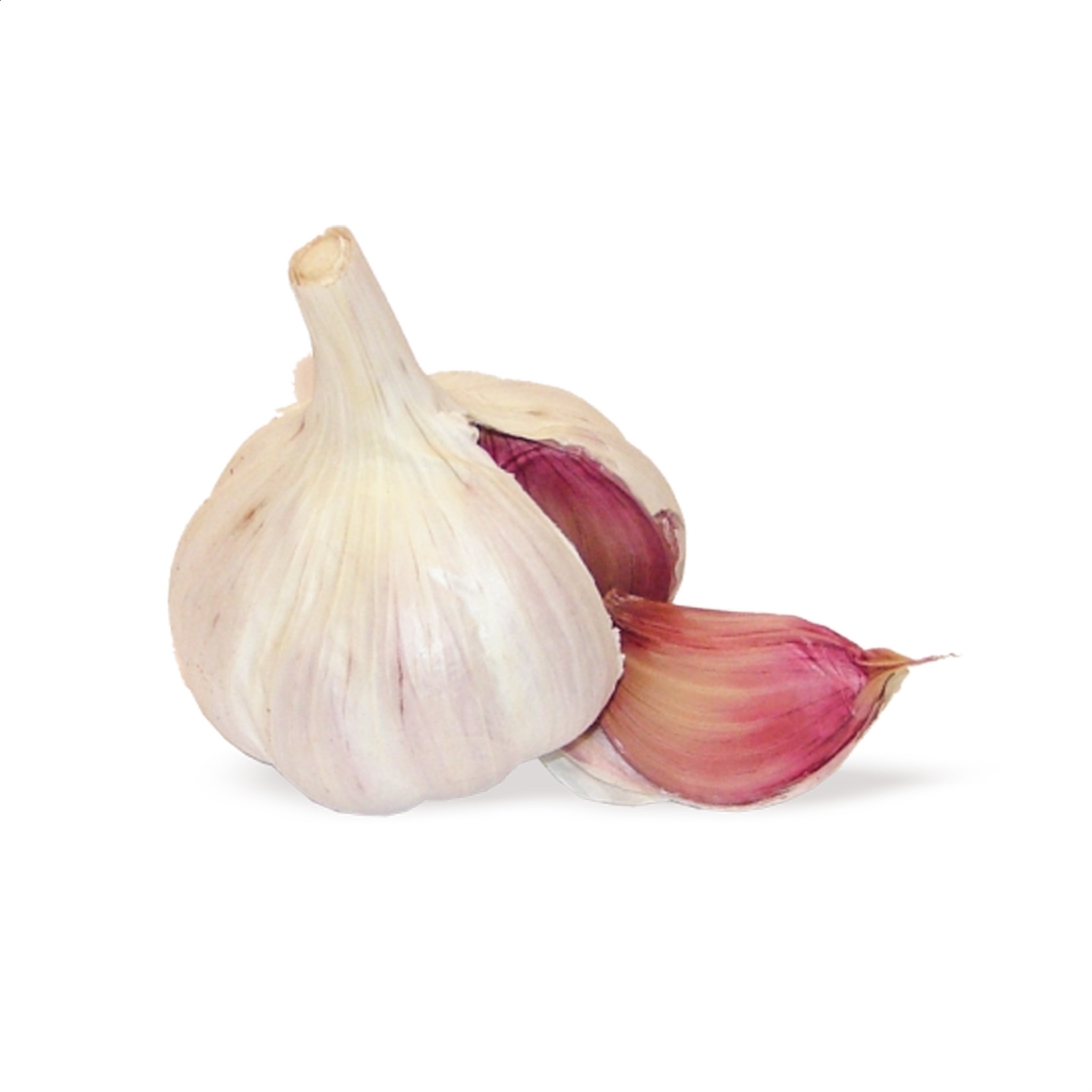 Cooperativa El Santo – Ajo Morado en mallas IGP Ajo Morado de Las Pedroñeras, 4Kg