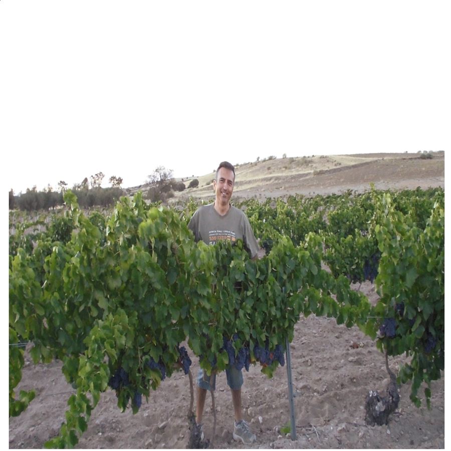 Almavid - Garnacha roble ecológico vino tinto D.O.P. Méntrida 75cl, 12uds
