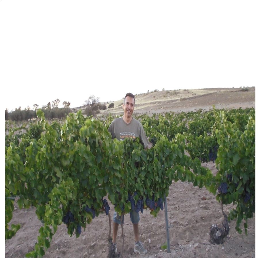 Almavid - Garnacha roble ecológico vino tinto D.O.P. Méntrida 75cl, 6uds