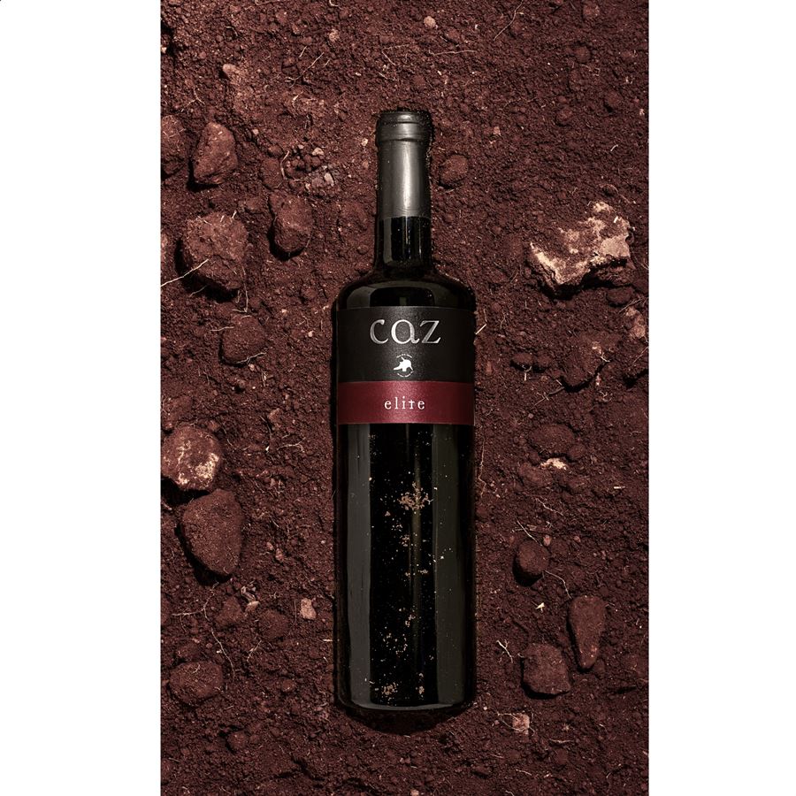 Bodegas la Unión - Caz Élite Cencibel vino tinto D.O.P La Mancha 75cl, 6 uds -