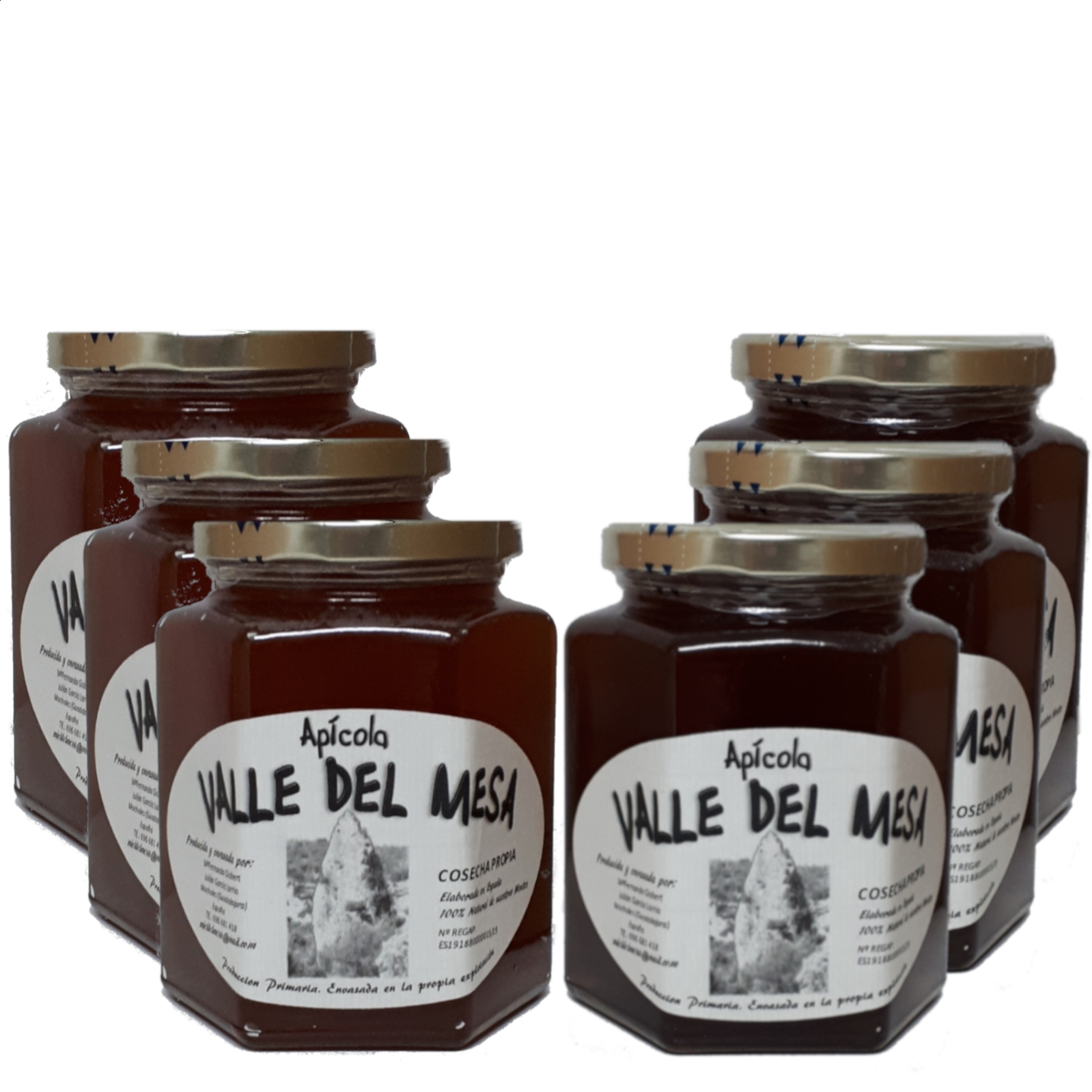 Apícola Valle del Río Mesa – Miel bosque de otoño - Miel multifloral de primavera, 500g 6uds