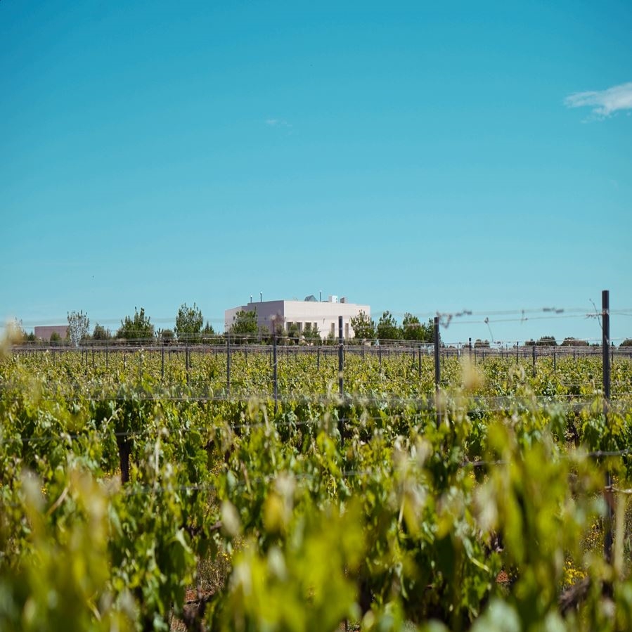 Bodega Carrascas - Al cobijo de una gran sabina vino tinto IGP Vino de la Tierra de Castilla 75cl, 6uds