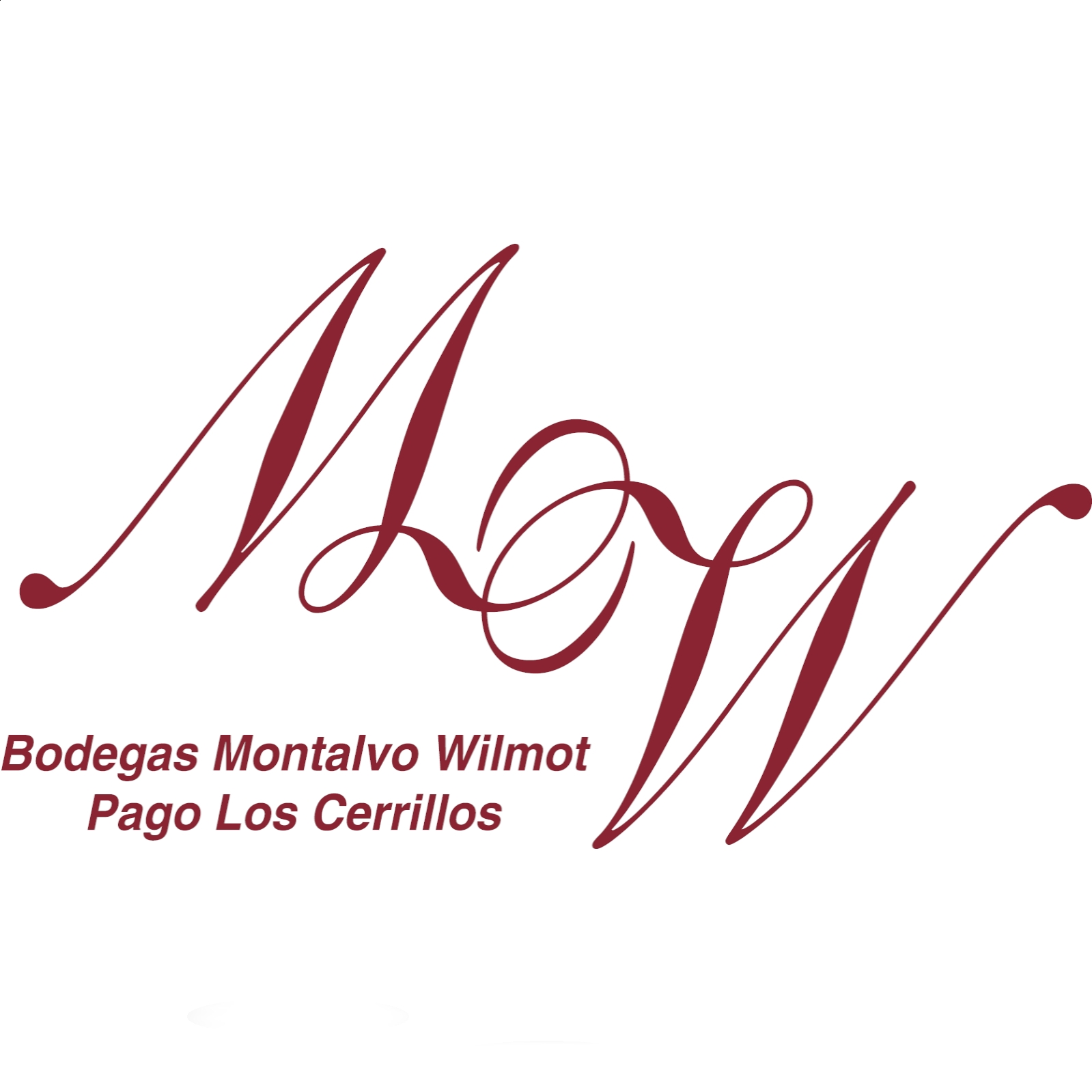 Bodegas Montalvo Wilmot - Syrah 2018 D.O.P. Pago Los Cerrillos 75cl, 3uds