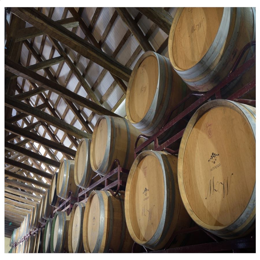 Bodegas Montalvo Wilmot - Quintos de la Tejera 2019 IGP Vino de la Tierra de Castilla 75cl, 6uds