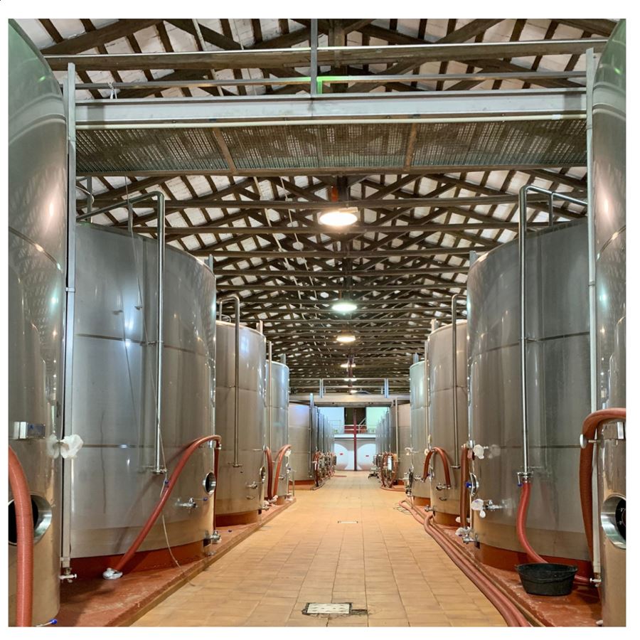 Bodegas Montalvo Wilmot - Quintos de la Tejera 2019 IGP Vino de la Tierra de Castilla 75cl, 6uds