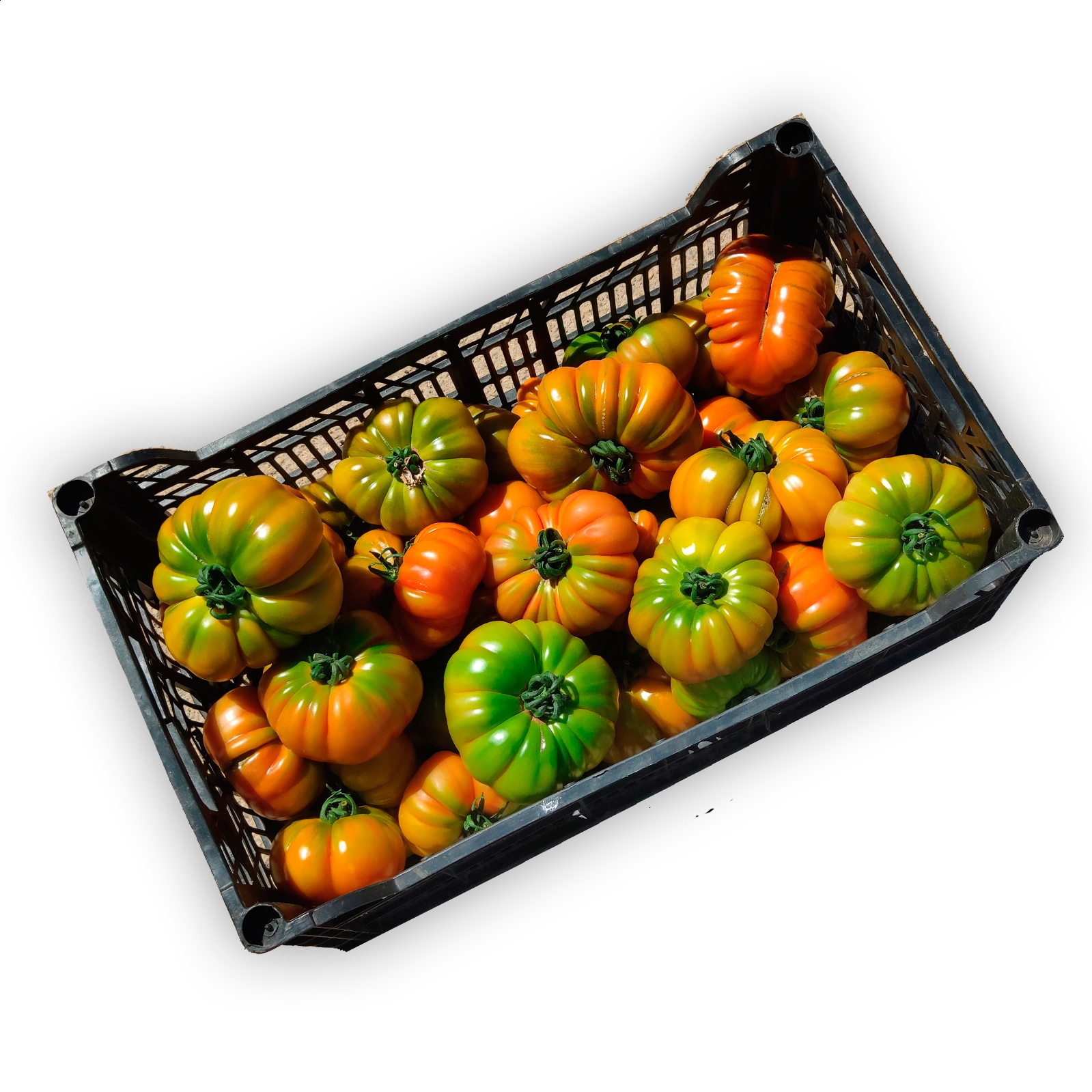 La Rica Huerta - Tomates asurcados ecológicos tipo Raf de 5Kg aprox.