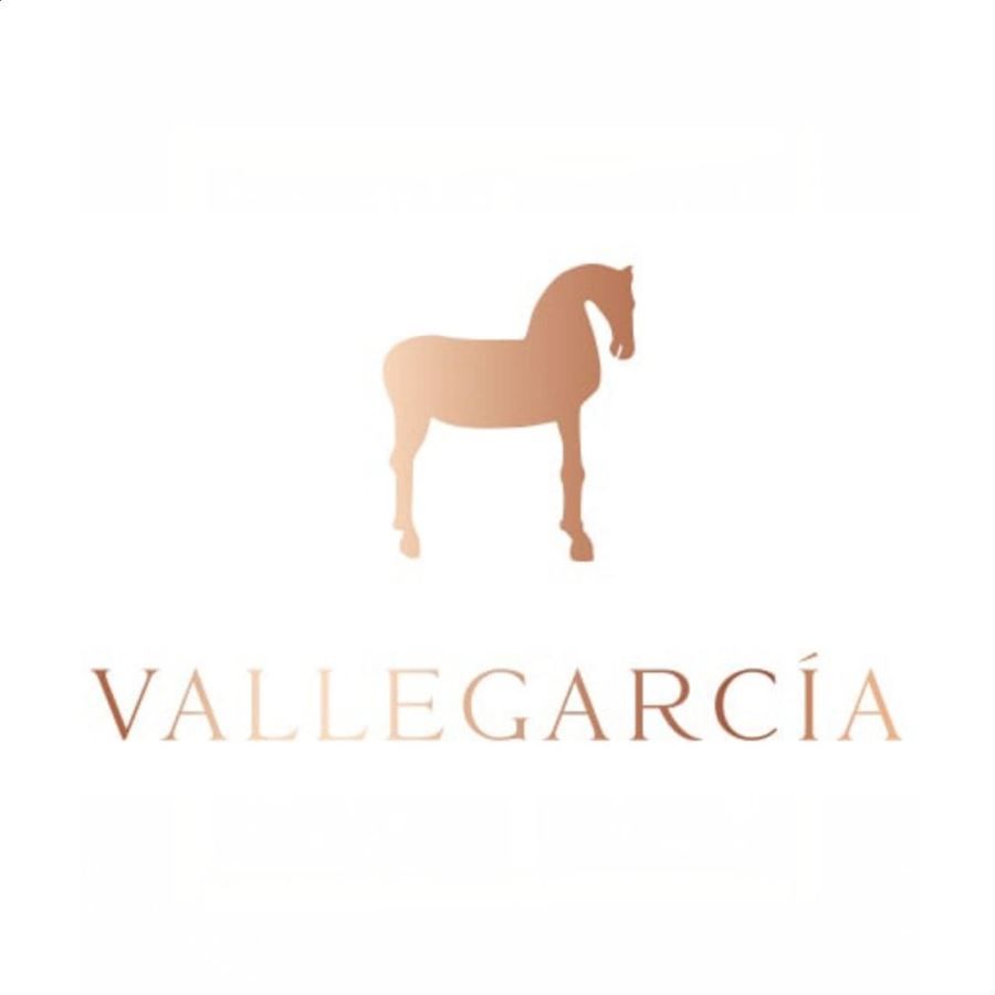 Pago de Vallegarcía - Vino tinto Hipperia magnum D.O.P. Vallegarcía 1.5L, 1ud