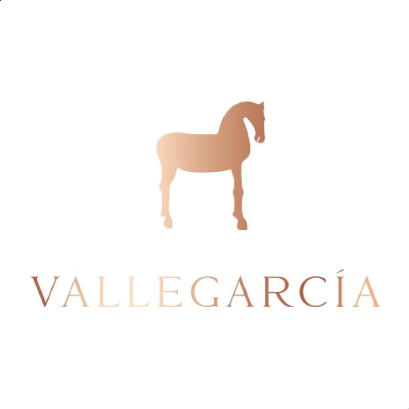 Pago de Vallegarcía - Lote vino blanco y tinto D.O.P. Vallegarcía 75cl, 4uds