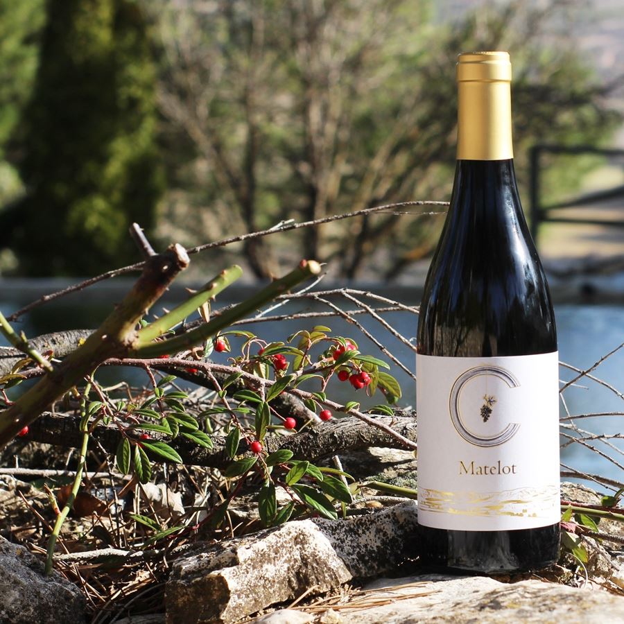 Bodega Calzadilla - Matelot vino blanco ecológico IGP Vino de la Tierra de Castilla 75cl, 3 uds