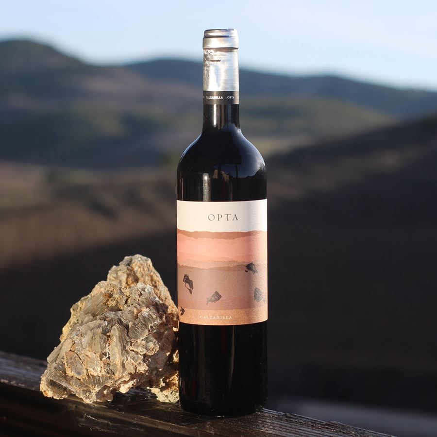 Bodega Calzadilla - Opta vino tinto ecológico D.O.P. Pago Calzadilla 75cl, 3 uds