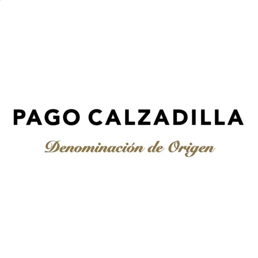Bodega Calzadilla - Classic vino tinto ecológico D.O.P. Pago Calzadilla 75cl, 3 uds