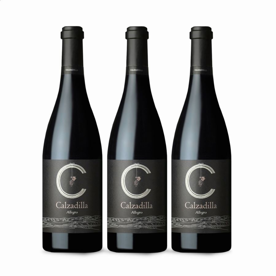Bodega Calzadilla - Allegro vino tinto ecológico D.O.P. Pago Calzadilla 75cl, 3 uds
