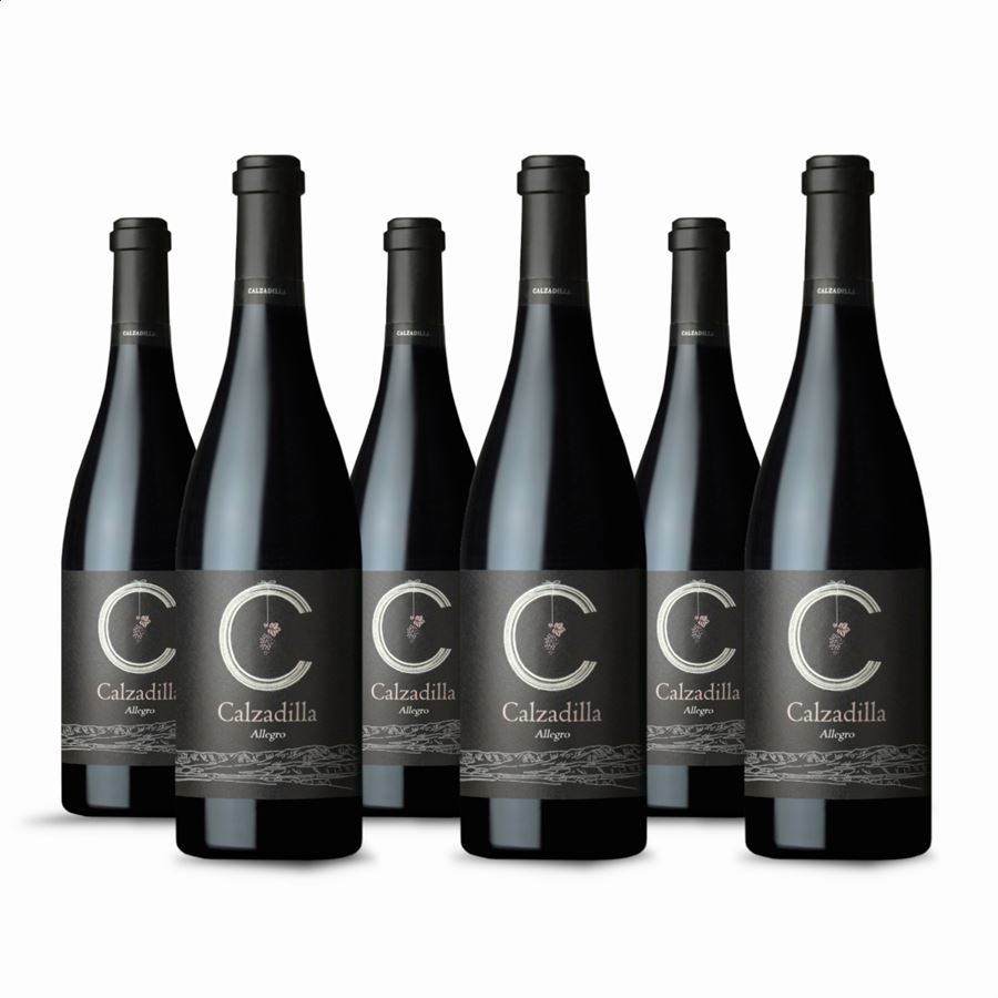 Bodega Calzadilla - Allegro vino tinto ecológico D.O.P. Pago Calzadilla 75cl, 6 uds