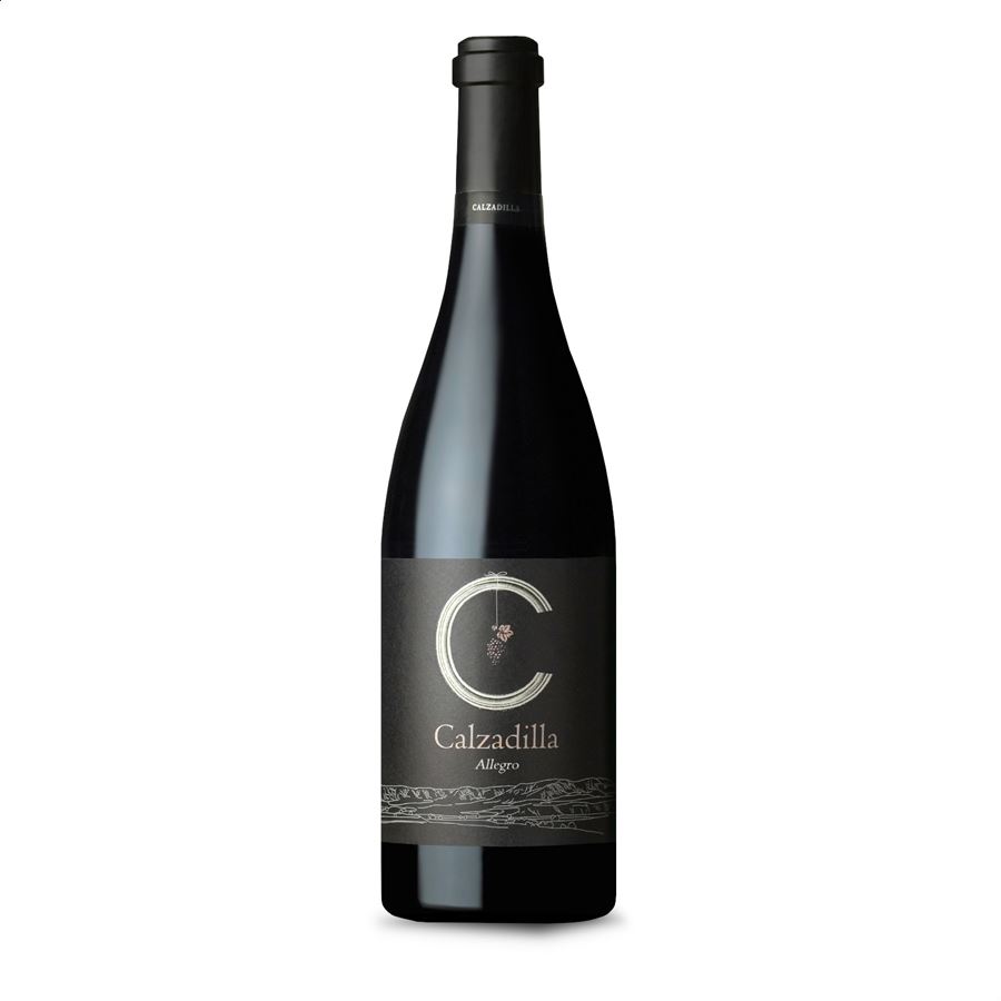 Bodega Calzadilla - Allegro vino tinto ecológico D.O.P. Pago Calzadilla 75cl, 6 uds