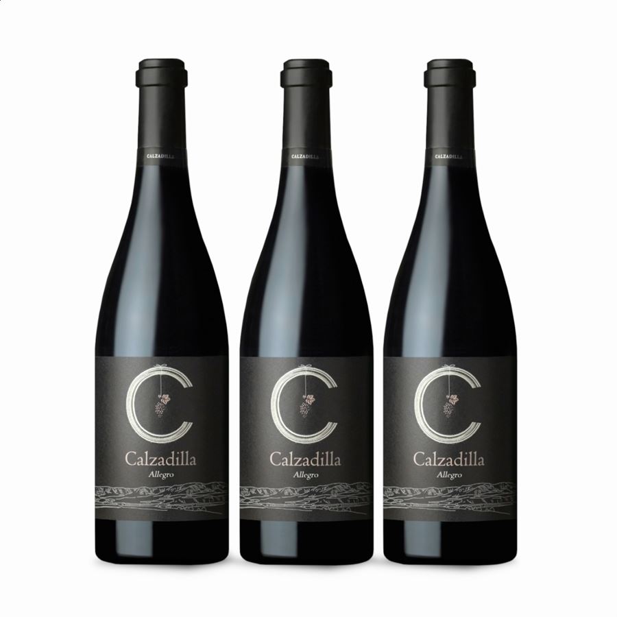 Bodega Calzadilla - Allegro vino tinto ecológico D.O.P. Pago Calzadilla 75cl, 6 uds