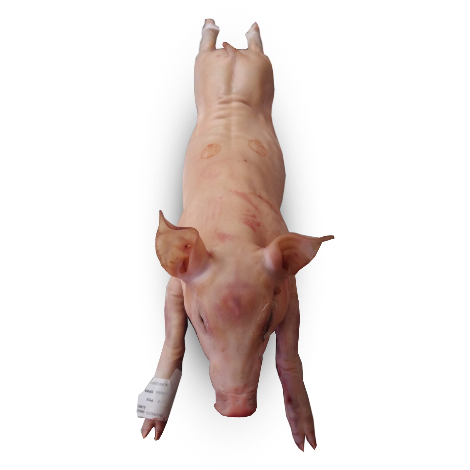 Senderuelo - Cochinillo especial para horno de 4 a 5Kg aprox, 1ud