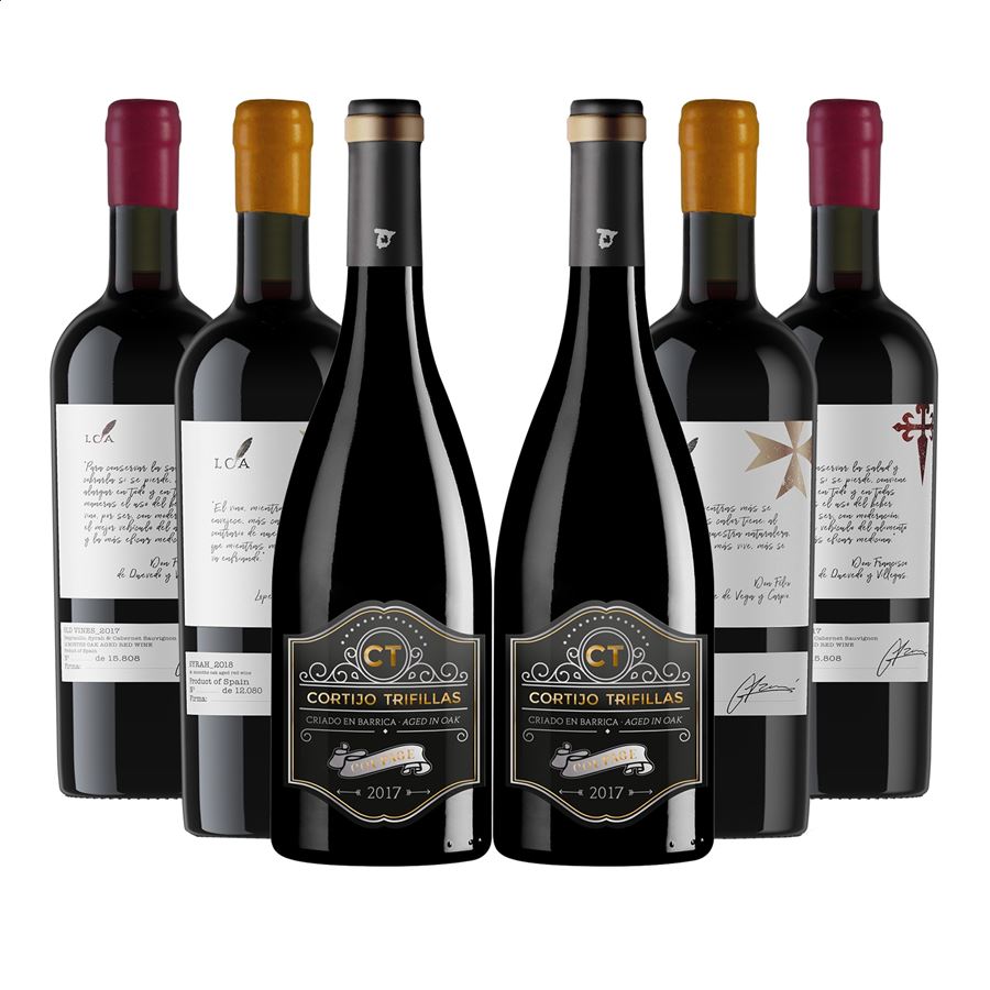 Grupo Terramagna - Lote N°2 de vino tinto IGP Vino de la Tierra de Castilla 75cl, 6uds