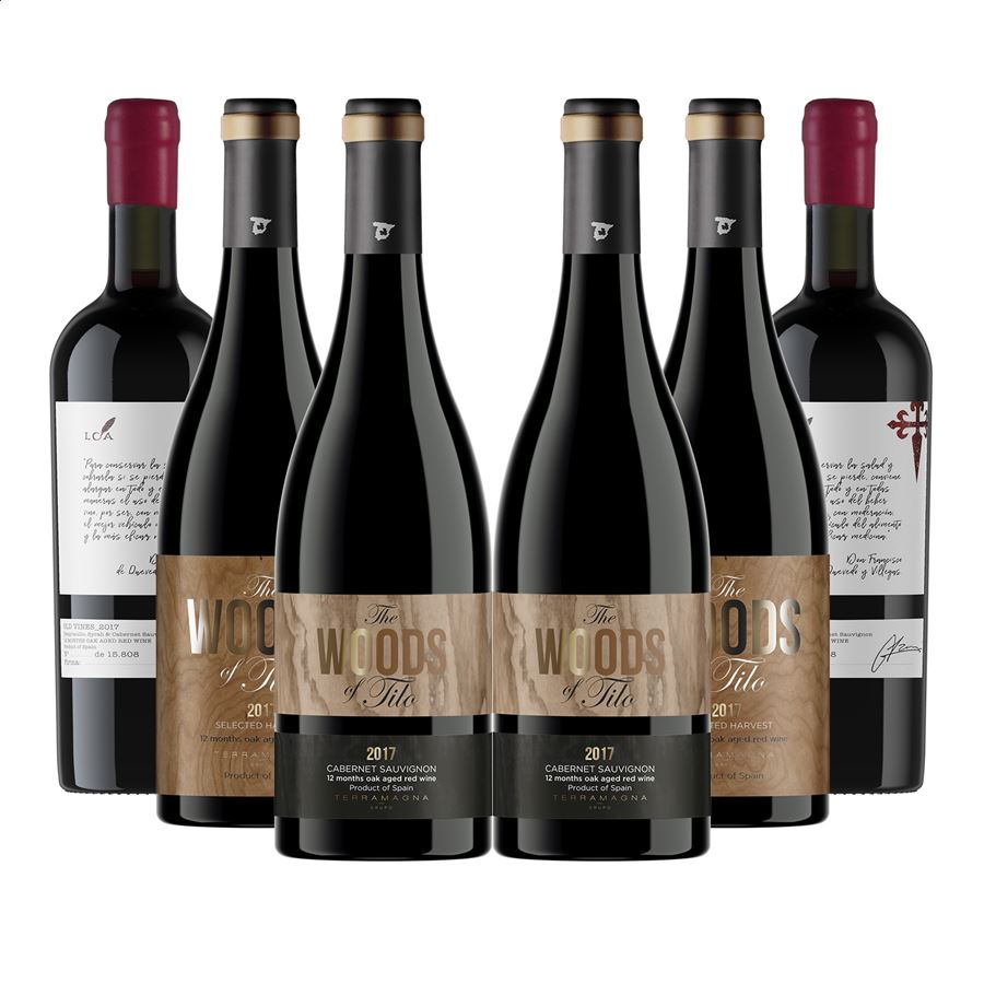 Grupo Terramagna - Lote N°4 de vino tinto IGP Vino de la Tierra de Castilla 75cl, 6uds