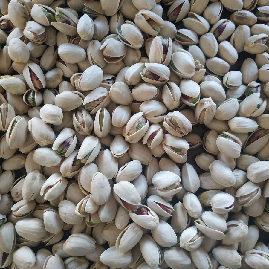 Cózar de la Sierra - Pistacho tostado y salado con cáscara 500g, 2uds