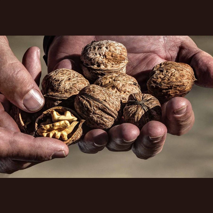 Nueces de Nerpio – Nuez con cáscara 1Kg, 1ud