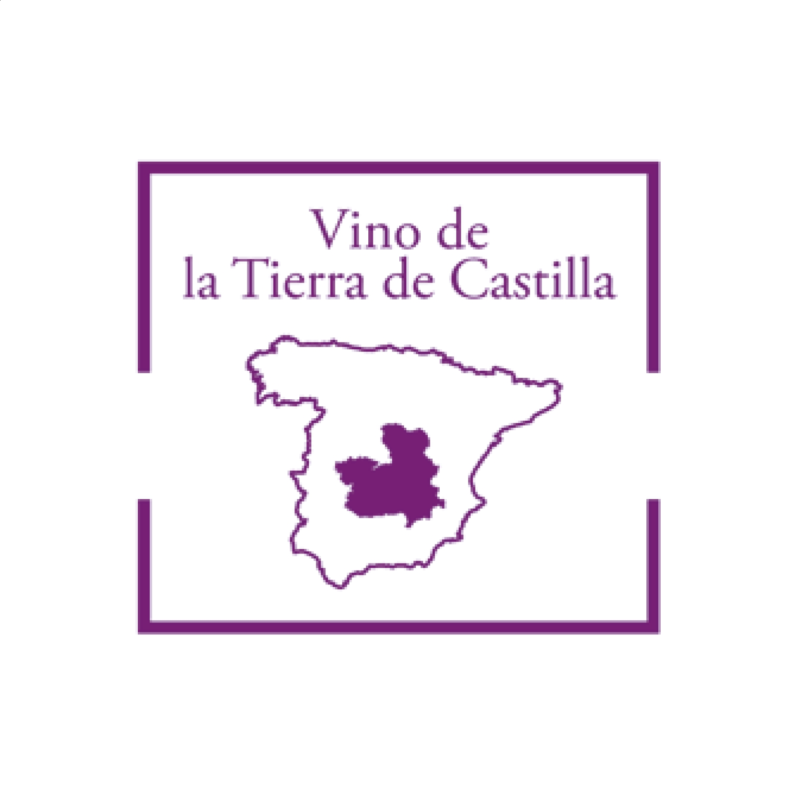 Bodegas Viñasoro - Lote de vino tinto Syrah y Tempranillo-Syrah D.O.P. La Mancha 75cl, 2uds