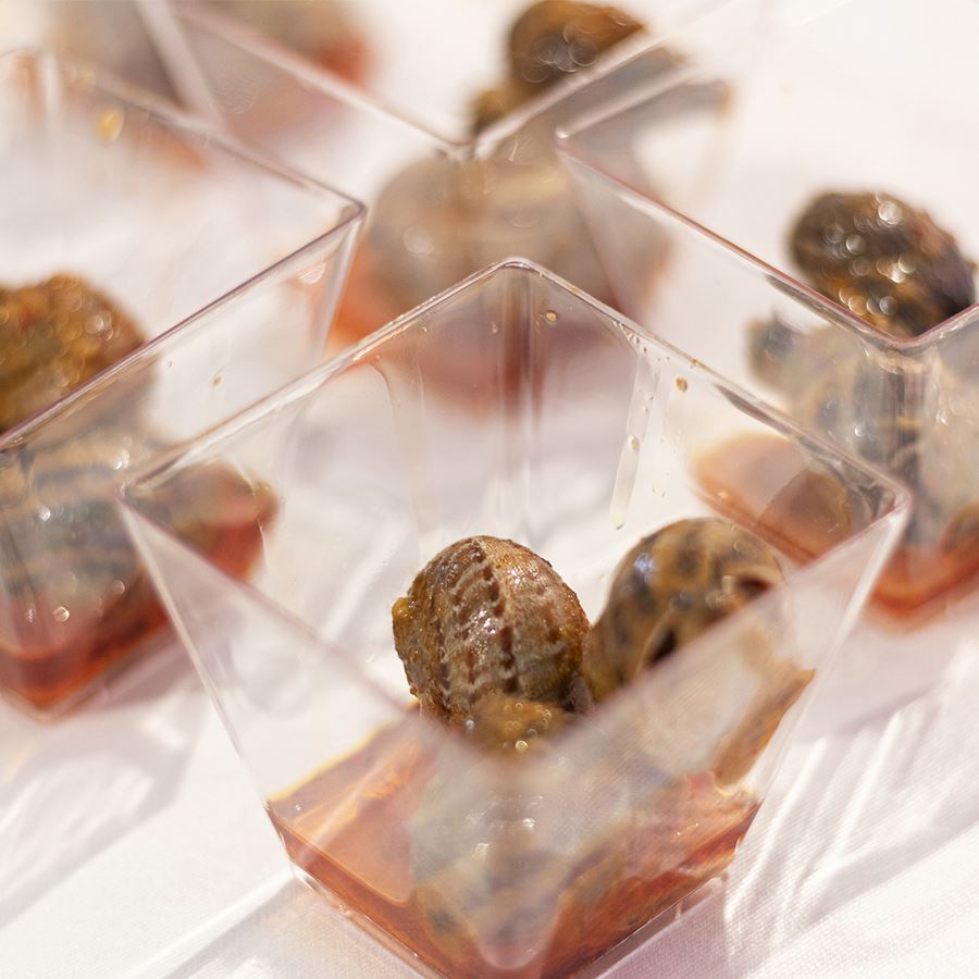 Helix Snails - Lote degustación caracoles en salsa 445g, 12uds