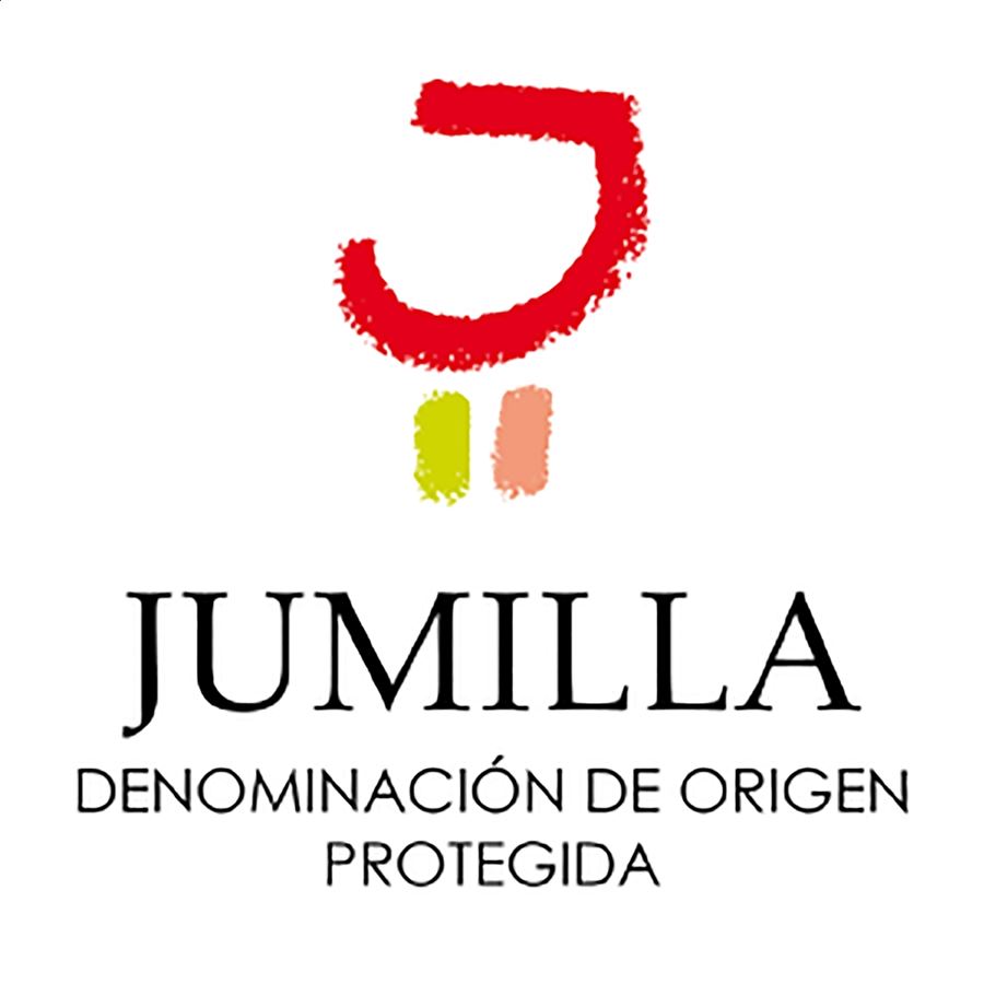 Vinos Izquierdo - Ramón Izquierdo Monastrell ecológico D.O.P. Jumilla 75cl, 3uds